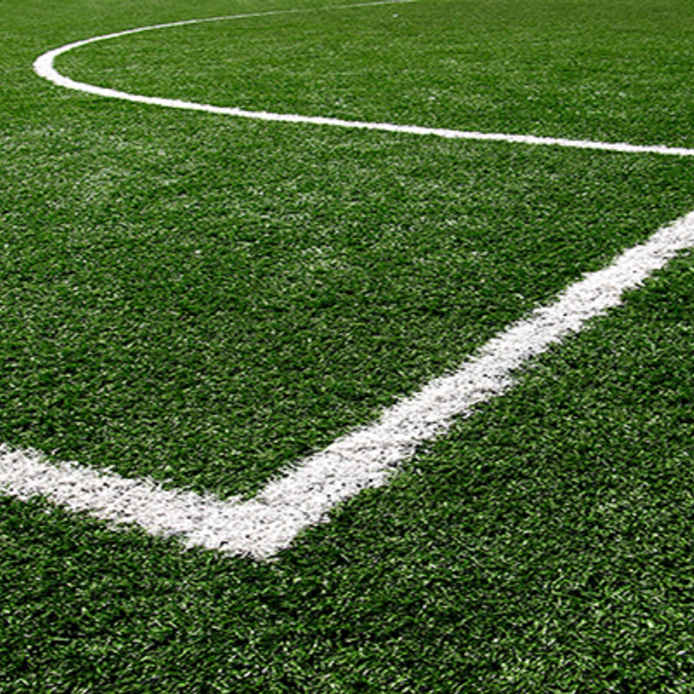 pasto-cancha