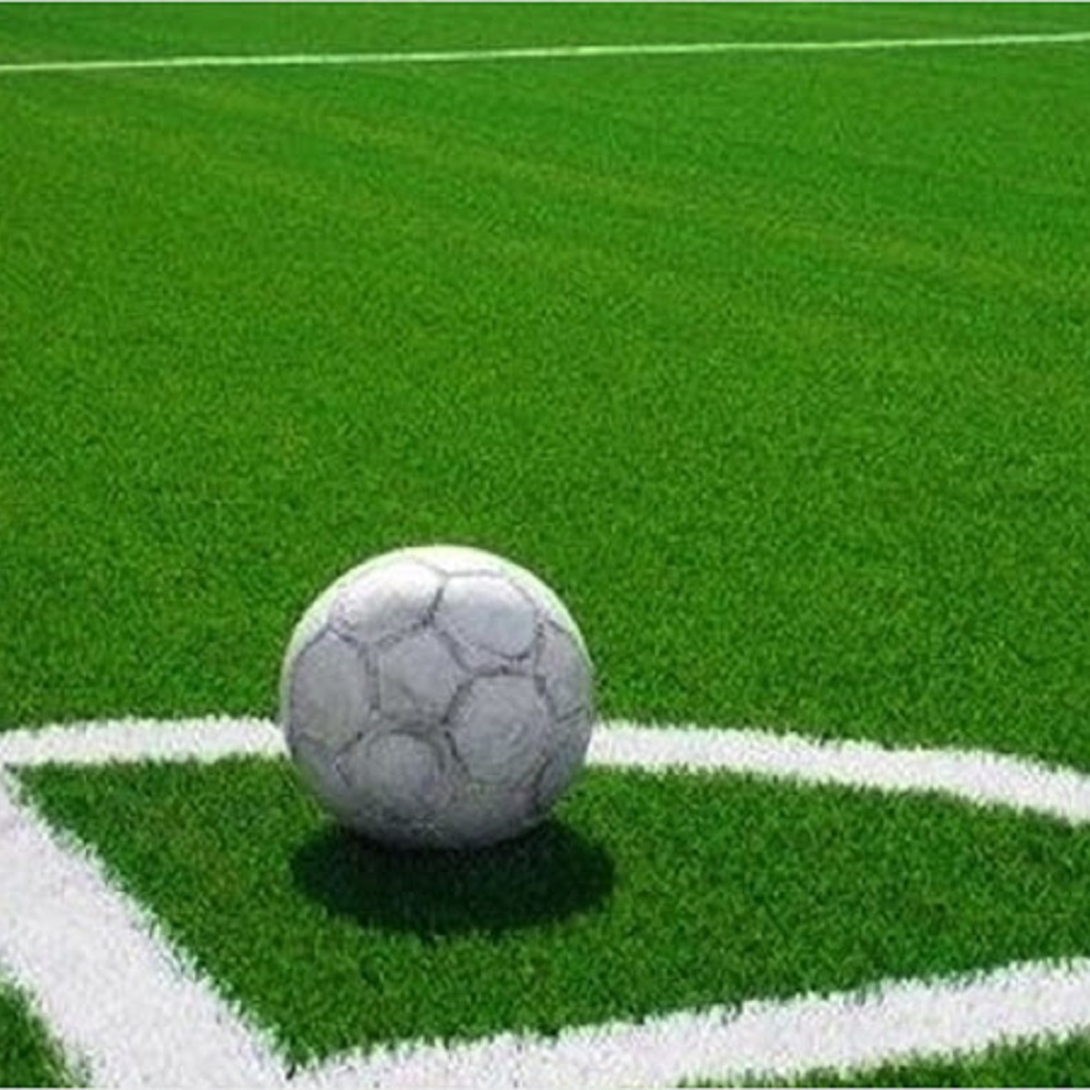 Pasto para Cancha de Futbol