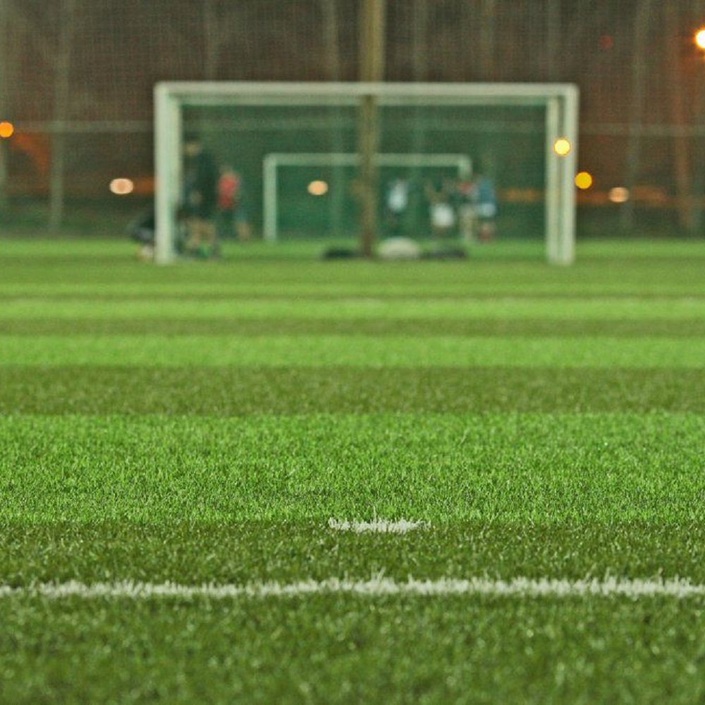 Pasto para Cancha de Futbol